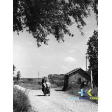 Coll. Jan Carel Peters F0000013